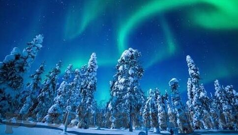 大象传媒软件免费下载-免费下载大象传媒软件，开启数字娱乐新体验