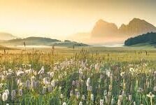 果冻传媒之越狱-探索果冻传媒的越狱现象，创意与边界的双重挑战