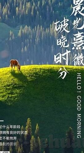 湖南麻豆文化传媒-魅力湘域·光影叙事，湖南麻豆文化传媒的独特风采