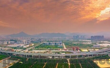 麻豆69堂免费视频-揭开网络迷雾，麻豆69堂免费视频的前世今生
