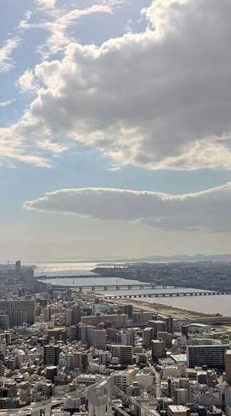 麻豆91国产视频-麻豆91，国产视频的本土魅力与创意探索