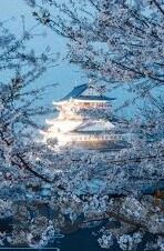 麻豆下载app下载免费-安全网络，健康搜索——正确理解数字时代的麻豆下载现象