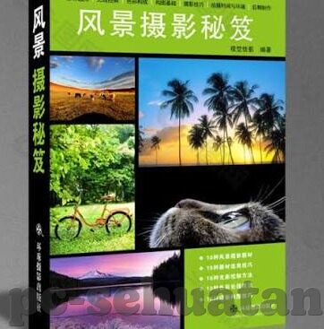 麻豆直播官网视频-麻豆直播官网视频，解密网络娱乐新体验