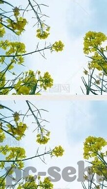 日韩av高清中文-日韩AV高清中文，文化交融与观赏体验的深度探索