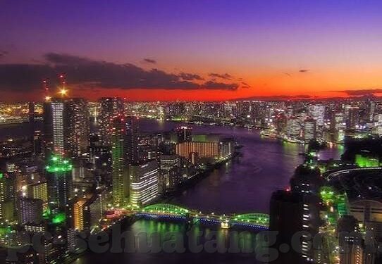 糖心vlog成人安卓-沉浸式成人生活，糖心Vlog成人安卓平台的体验之旅