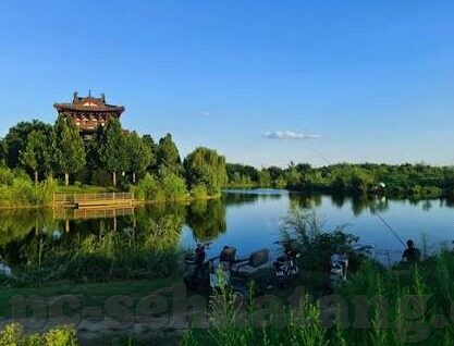 糖心vlog小桃up主-糖心Vlog，小桃UP主的创意旅程