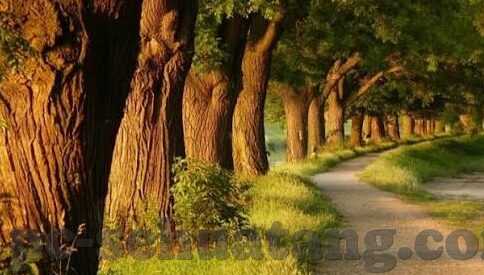 最新韩国伦理片-最新韩国伦理片，人性深处的探索与反思
